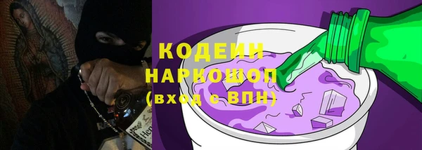 гашик Лабытнанги