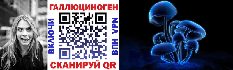 закладки  блэк спрут вход  Галлюциногенные грибы Psilocybe  Щигры 